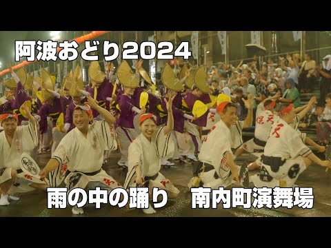 阿波おどり2024　南内町演舞場　雨の中の踊り　菊水連・天保連・豆狸連・ゑびす連・悠久連