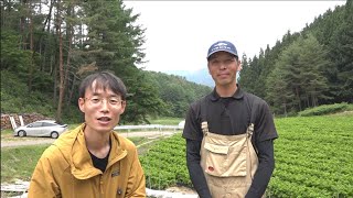 【旬の美味しさにこだわる旬すぐ（国産  100%）】長野県松本市滝澤広志さんの標高1000mにある美鈴湖の水を利用した香り高くシャキシャキとした食感が特徴の露地で丹精込めて育てたセロリ