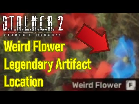 Stalker 2 Weird Flower location guide, how to find legendary artifact in poppy field