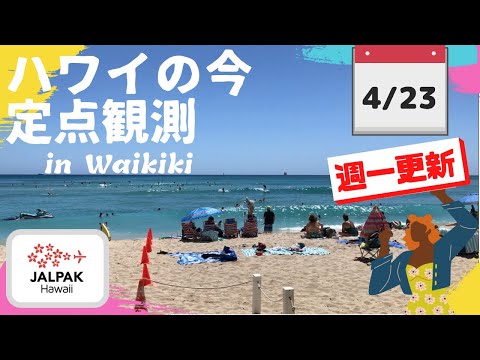 【ハワイの今】ワイキキ定点観測  2024年4月23日