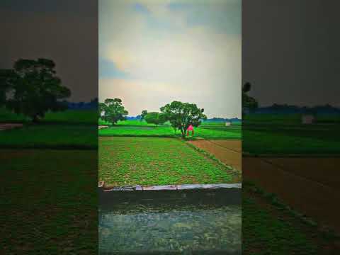 DESI DESI NA BOLIYA #farming #trendingshorts #youtubeshorts #viralvideo #viralshort #shorts #nature