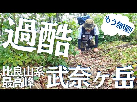 急登１時間超の過酷な山行、武奈ヶ岳 御殿山コース（ワサビ峠経由）初心者ソロ登山Vol.13