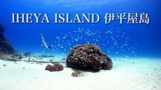 Snorkeling Tour to OKINAWA IHEYA ISLAND! ｜沖縄伊平屋島シュノーケリングツアー