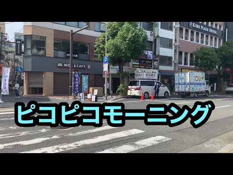 神戸ランチ　神戸グルメ　JAPAN KOBE