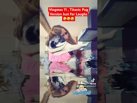 #titanic #dogshorts #dogfunny #dogmom #notmymusic #funny #vlogmas #vlogmas11