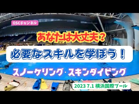 あなたは大丈夫？スノーケリング（シュノーケリング）・スキンダイビングに必要なスキルを学ぼう！OSCスキンダイビング講習会（基礎編・応用実践編）の練習風景 in 神奈川・横浜国際プール