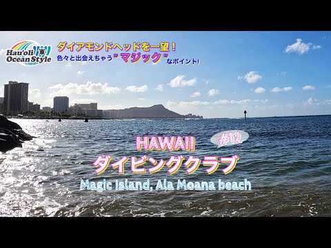 【ハワイダイビングクラブ】アラモアナ・マジックアイランドでファンダイビング！ Scuba Diving at Magic Island, Ala Moana Beach