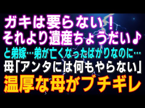 【スカッとする話】「ガキは要らない！それより遺産ちょうだい♪」と弟嫁…弟が亡くなったばかりなのに…母「アンタには何もやらない」温厚な母がブチギレ！