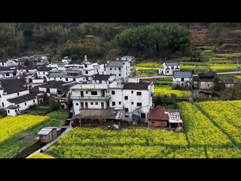 中国江西·婺源Wuyuan, Jiangxi, China#婺源#江西旅游