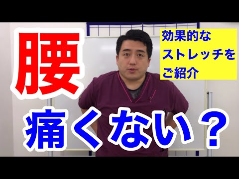 腰が痛くなったらまずこのストレッチをやってみてください！【YouTube健康教室（27）】