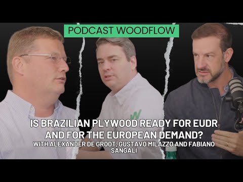 Is Brazilian Plywood ready for EUDR and for the European demand? PODCAST WOODFLOW #8