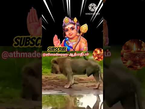 உள்ளம் தெளிவாக வை #song #love #tamil #lovesong #shortsfeed #cute #yt #1million #ytviral #viralvideo