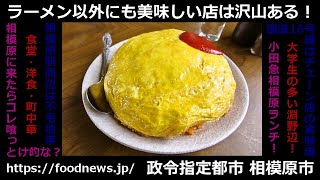 【食べて選んだ】シン・相模原の美味しい店【実力店】#相模原 #グルメ #チャーハン #相模原市 #ランクイン#洋食