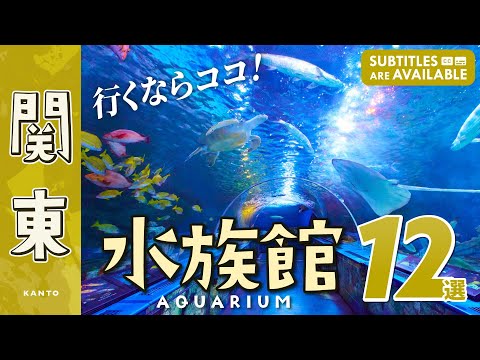 12 Recommended Aquariums in the Kanto Area, Japan