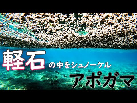 【沖縄11月】軽石の中シュノーケル【アポガマ】