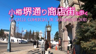 Walking down Otaru Sakaimachi Dori shopping street