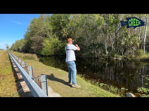 Simple Ultralight Bank Fishing (Florida!)