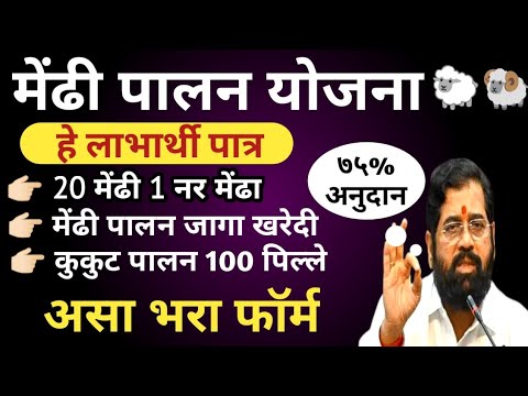 20 मेंढ्या 1नर मेंढा | शेळी पालन योजना #shelipalanin#ahilya_sheli_yojana #पशु_संवर्धन_योजना