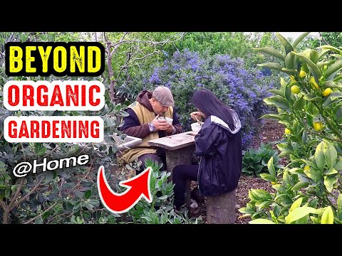 How To Grow A "Better Than Organic" Garden At Home | Beyond Organic Gardening