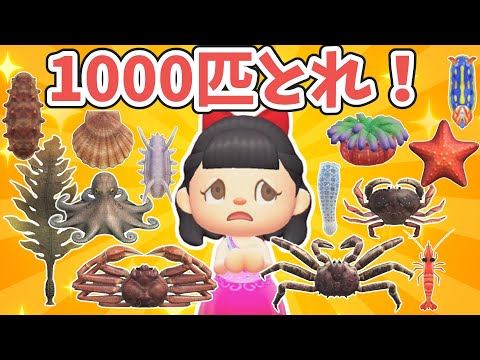 【終われません】海の幸を1000匹捕まえて全部売ってみた【あつ森ゆっくり実況】