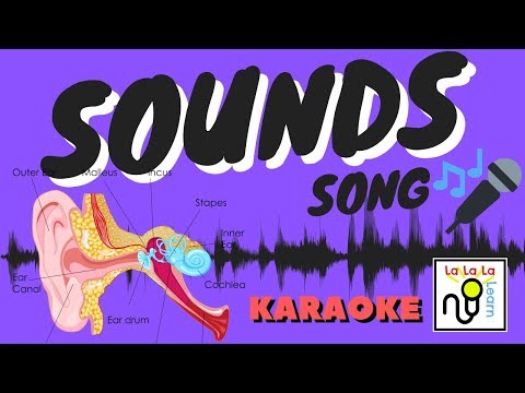 Sound song (karaoke) | Science | La La La Learn