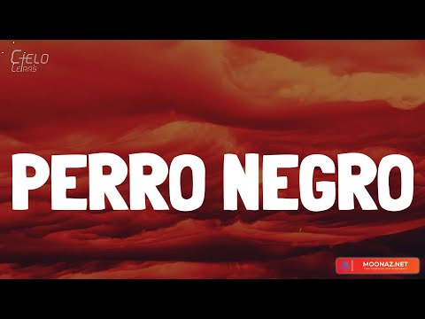 Bad Bunny - PERRO NEGRO (Lyrics/Letra)