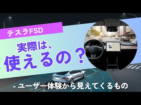 テスラFSDの挙動。本当にロボタクシー発表できるの？