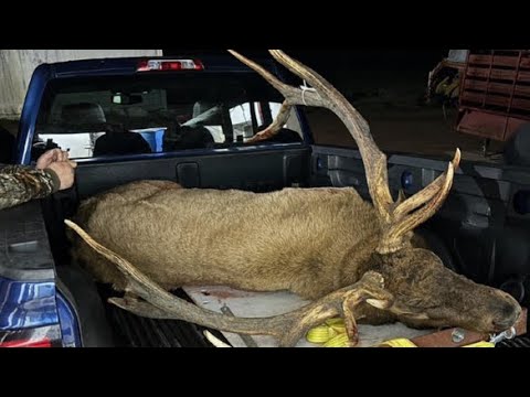 Existing Wisconsin State Record Elk Shattered??