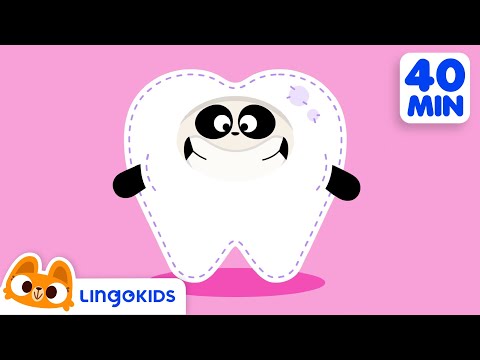 BUBBLES DANCE SONG 🧼🫧🎶 + More Good Habits Songs for Kids | Lingokids