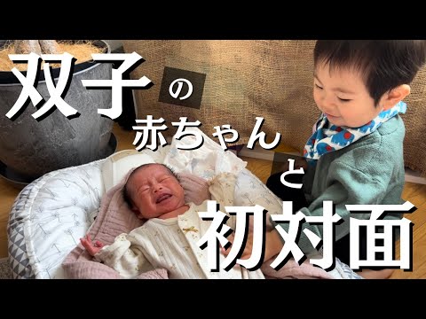 【新生児】双子の赤ちゃんに初対面 / 1歳のお兄ちゃんになる感動の瞬間