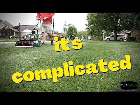 Should You Start REEL Mowing? The answer is....