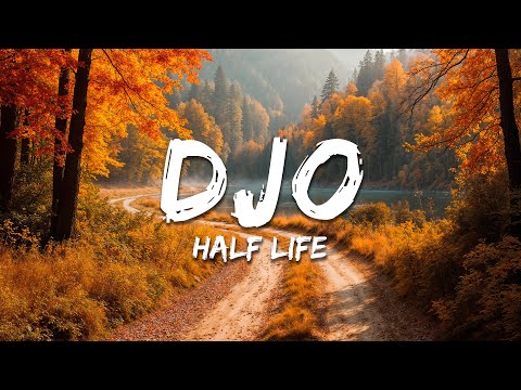 Djo - Half Life (Lyrics)