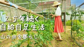 【山の田舎暮らし🌲】畑メンテナンスDAY｜アラフィフ女子の自給自足生活｜蒸し暑い日の冷やしラーメン｜甘いケーキで疲れをリセット🍰