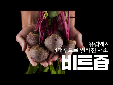 [잠백이] 비트즙_타이포그래픽편