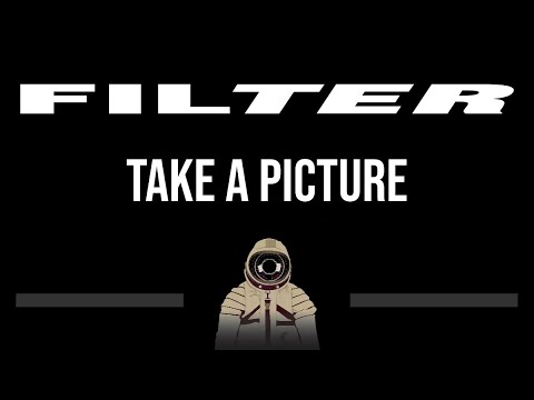 Filter • Take A Picture (CC) (Upgraded Video) 🎤 [Karaoke] [Instrumental Lyrics]