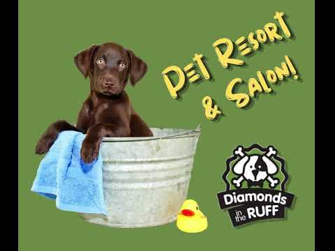 Pet Resort and Salon in Abilene, TX - Diamonds in the Ruff