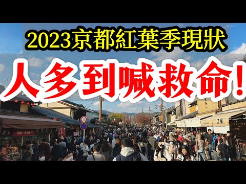 【日本旅遊】人多到崩潰的2023京都紅葉季・2023年秋天日本京都賞楓自由行・嵐山・清水寺・京都景點・楓葉・楓紅・京都現狀・京都旅遊・日本自由行