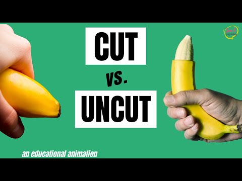 Circumcised vs Uncircumcised Animation Video 🍌Puberty for Boys Stages