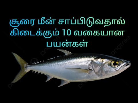 சூரைமீன் சாப்பிடுவதால் கிடைக்கும் 10 வகையான  பயன்கள் | by, Dr.Anita | tuna fish health benefits