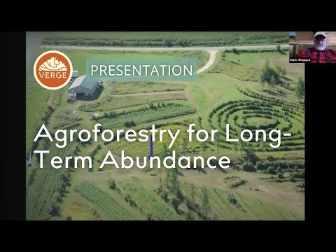 Nut Trees + Cash Crops: How to Grow Your Agroforestry System from the Ground Up