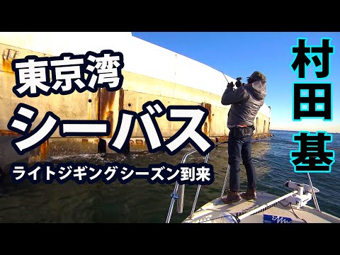 ライトジギングで狙う東京湾のシーバス 2/2 『魚種格闘技戦！ 192 村田 基×ライトジギング本格シーズン到来！ボートシーバス東京ベイ』イントロver.【釣りビジョン】その②