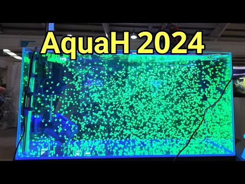 AquaH 2024: The UK's Largest Ever Coral Show (It Was Epic!)