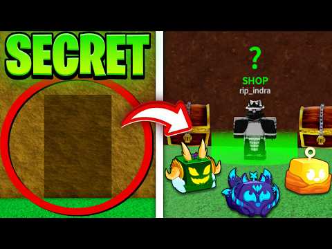 Blox Fruits Secrets, That You Might Have MISSED! | Roblox 2024!