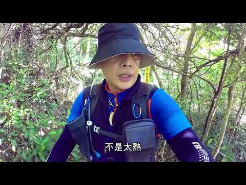 女仍山之初夏戀山日記 (2020.4.20)