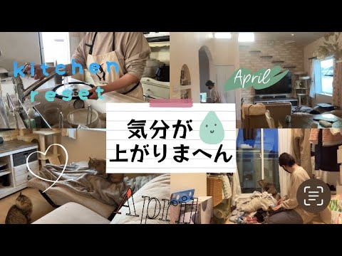 【小学生中学生ママ】新学期始まりましたね🌸そろそろ気分上げていきたい今日この頃〜/キッチンリセット/家事動画