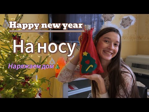 Живая елка дома на Новый год❤️Создаем уют и настроение🥳