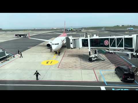 airplane enter gate in Jeju airport