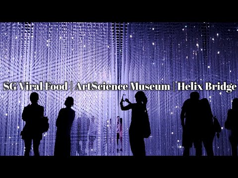 Day 2 Jalan Jalan di Singapore: Rekomendasi Hawker Centre Dan ArtScience Museum di Marina Bay Sands