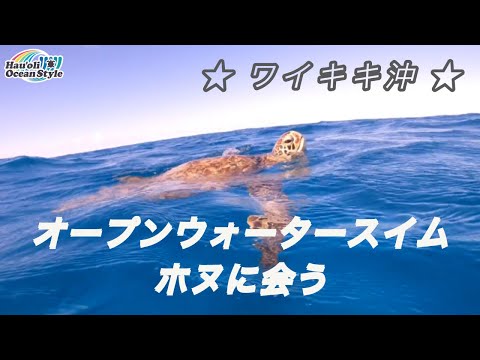 【ロックダウン中のハワイの海】ワイキキ沖・オープンウォータースイムでホヌに会いに行く！Open Water Swimming in Hawaii