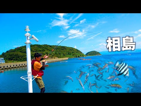 福岡から１時間の離島で水中カメラを使って釣りをすると...水中映像有【初級】